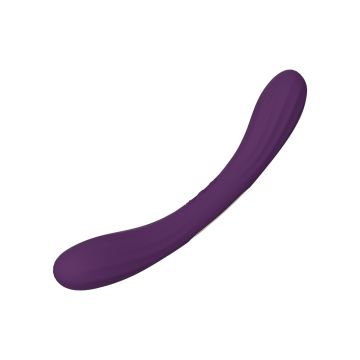 Dubbele Vibrator LELO Boomerang - Paars