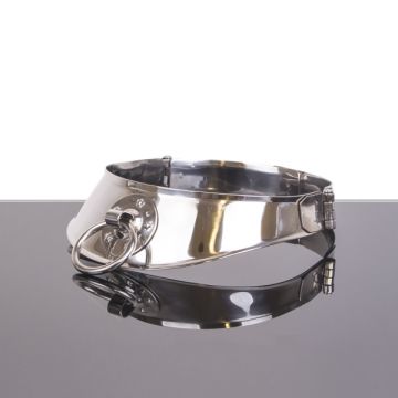Stalen Halsband