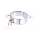 Metalen halsband Metalen halsband