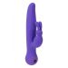 Vibrator Swan Touch Duo - Paars