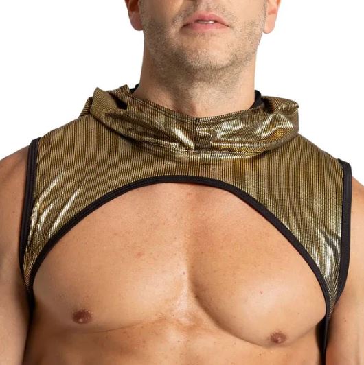 GIGO Shinese Harnas - Goud