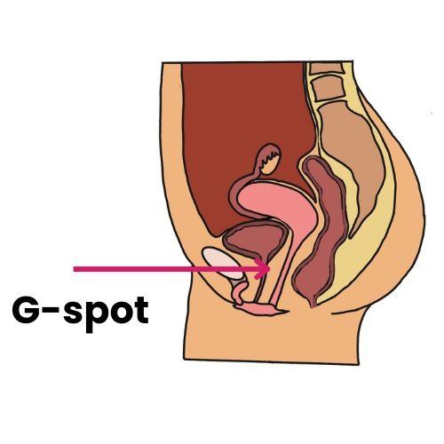 illustratie-g-spot
