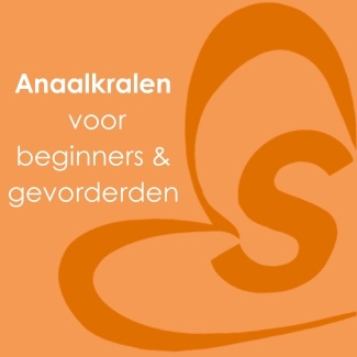 anaalkralen-voor-beginners-en-gevorderden
