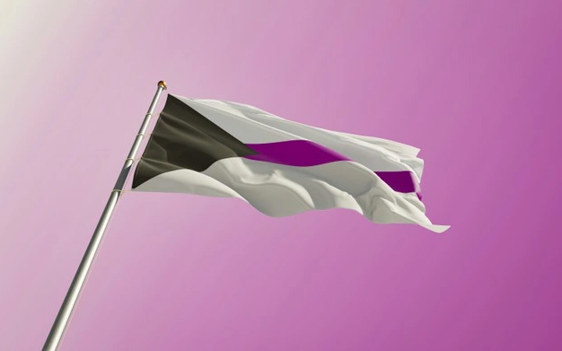 Demiseksueel vlag