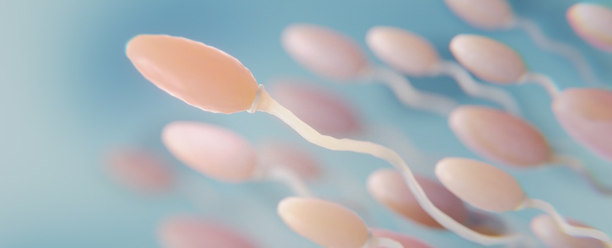 Sperma cellen